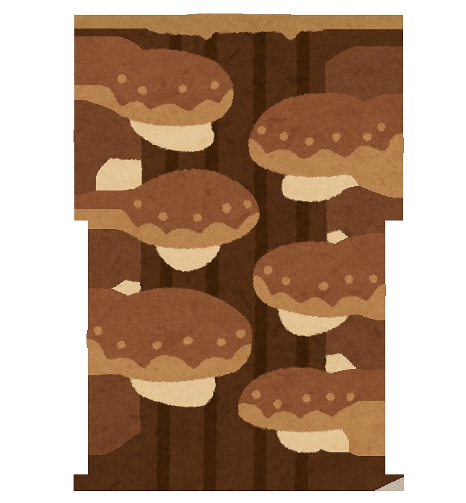 2月22日 原木(げんぼく)きのこ栽培にチャレンジ〈しいたけ又はなめこ〉《抽選》